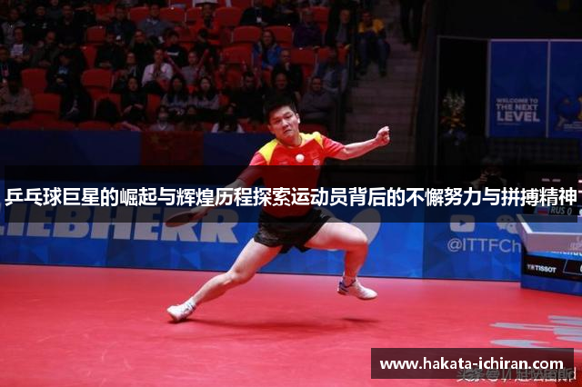 乒乓球巨星的崛起与辉煌历程探索运动员背后的不懈努力与拼搏精神